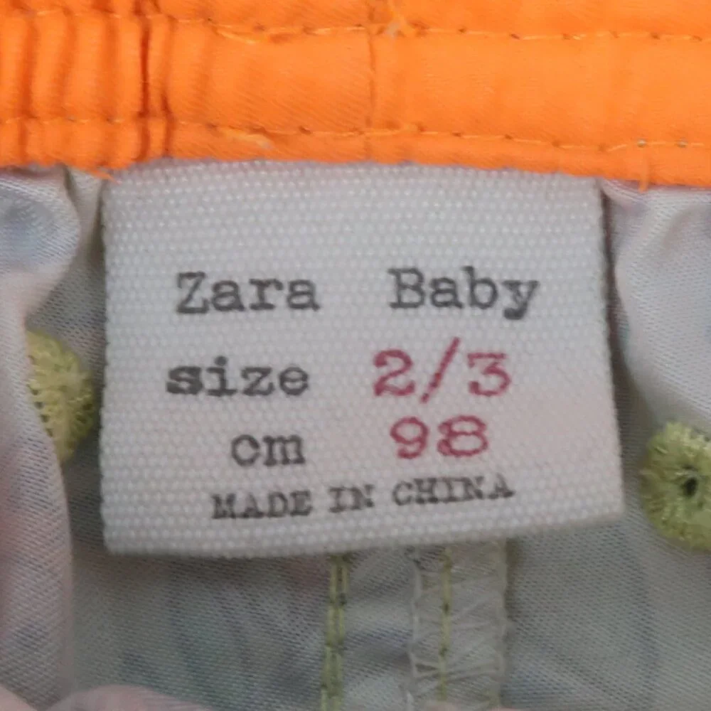 Zara lion tiger